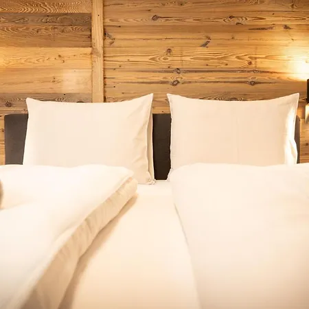 Wildbach Dienten Aparthotel Dienten am Hochkoenig