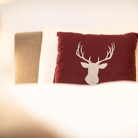 Lejlighedshotel Alpenparks Wildbach Hochkoenig 3*